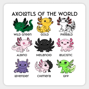 Kawaii Axolotls of the Worlds Magnet